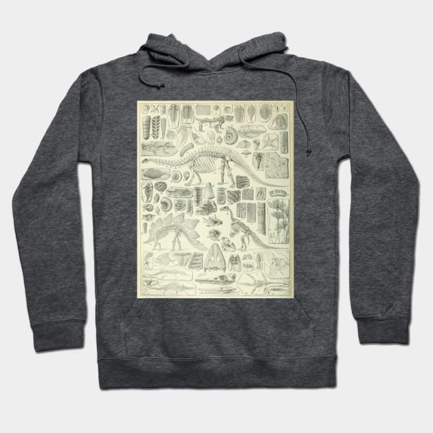 Fossil Chart Hoodie by bluespecsstudio